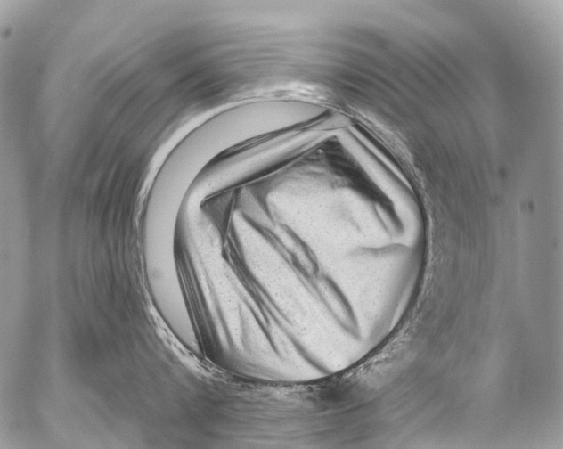X0000053100816200508081335