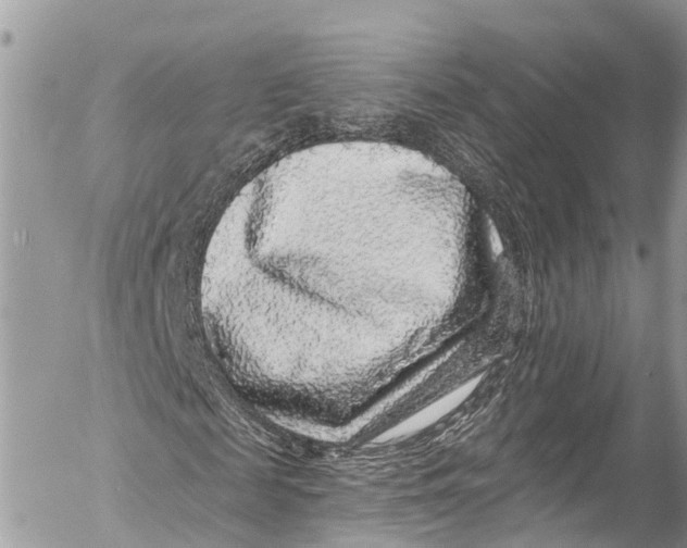 X0000053100817200508081334