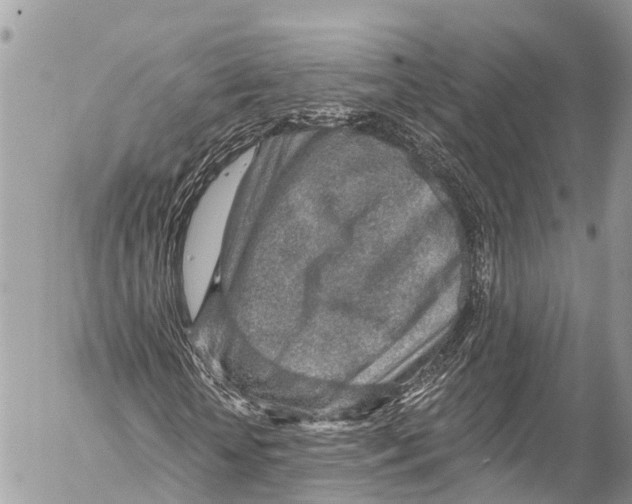 X0000053100818200508081334