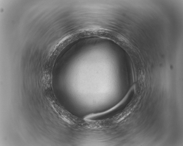 X0000053100822200508081334