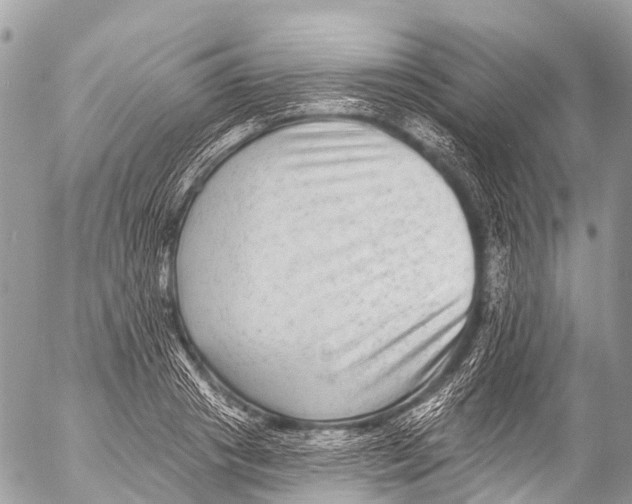 X0000053100841200508081334