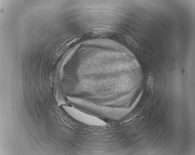 X0000053100868200508081334