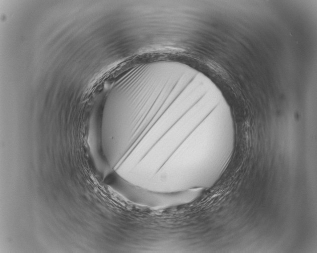 X0000053100872200508081334