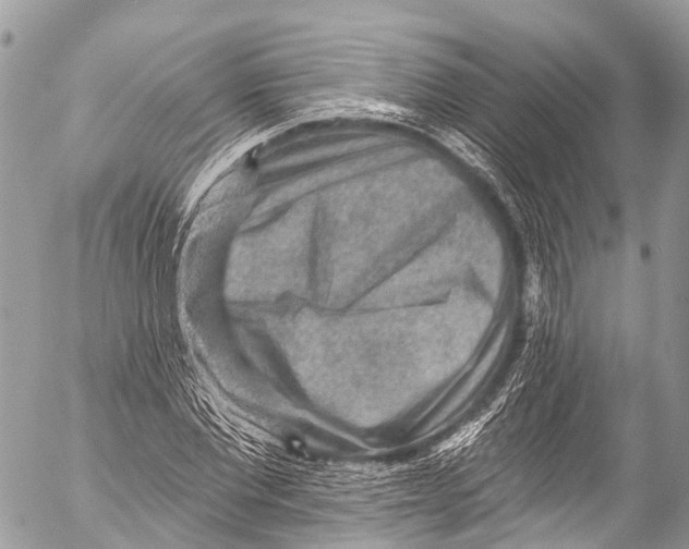 X0000053100877200508081334