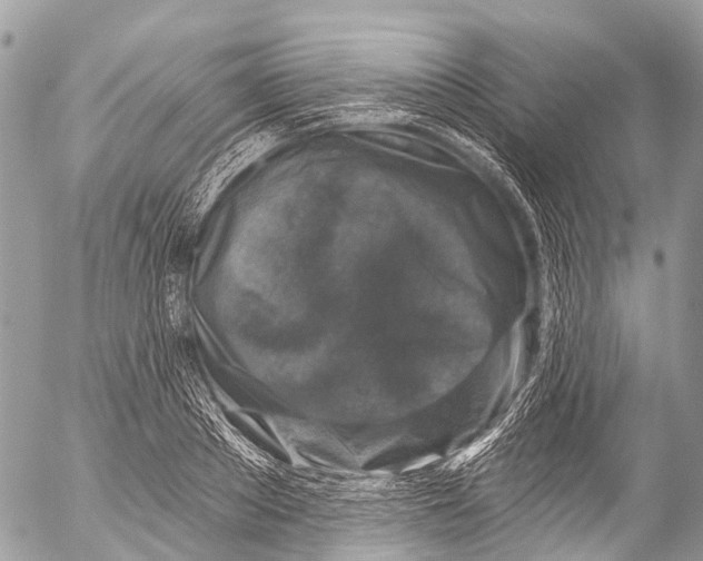 X0000053100889200508081333