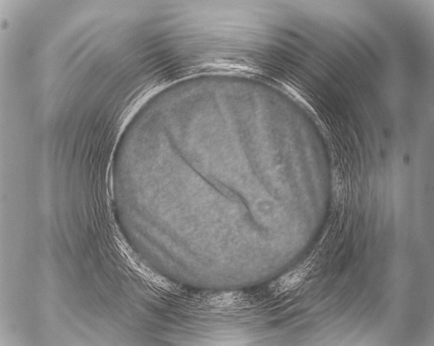 X0000053100891200508081333