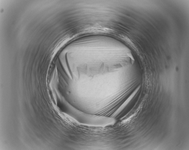 X0000053100893200508081333