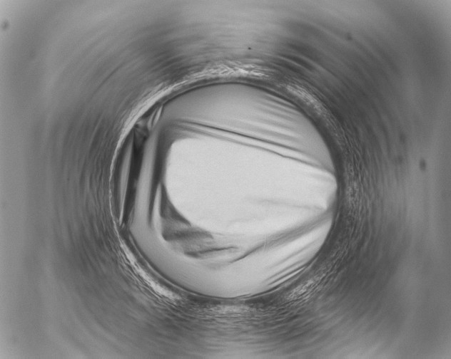 X0000053100894200508081333