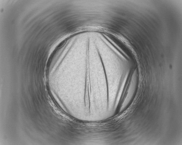 X0000053100904200508081333