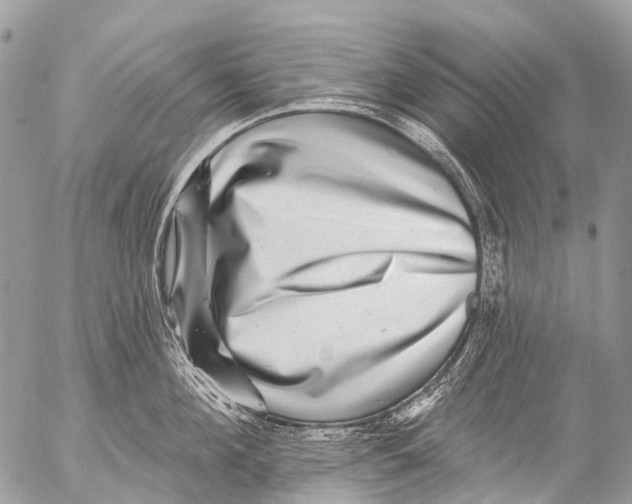X0000053100908200508081333