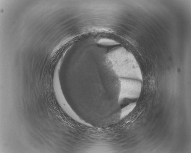 X0000053100919200508081332