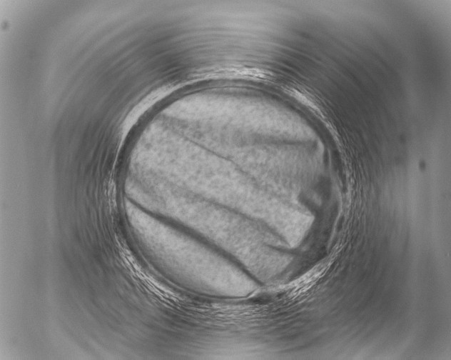 X0000053100928200508081332