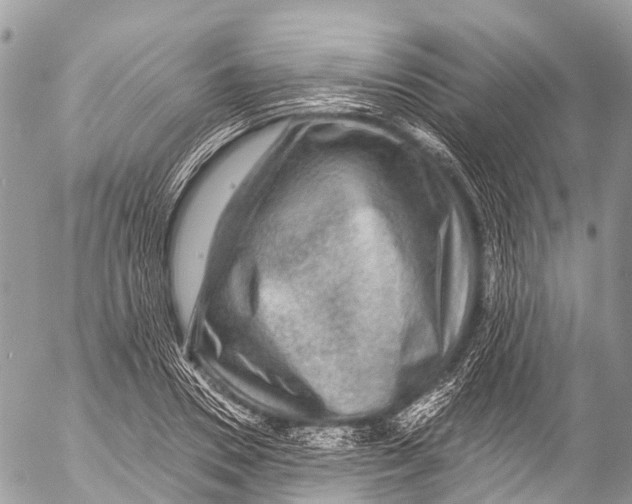 X0000053100930200508081333