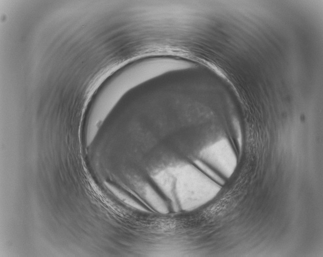 X0000053100935200508081333