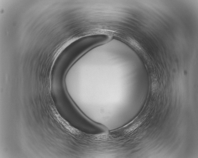 X0000053100940200508081333