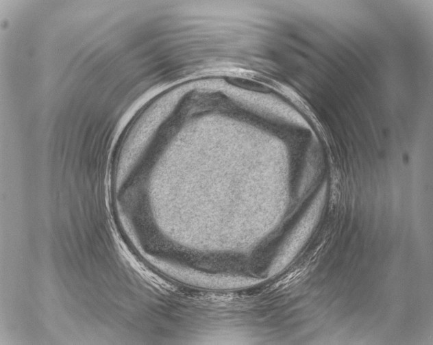 X0000053100955200508081333