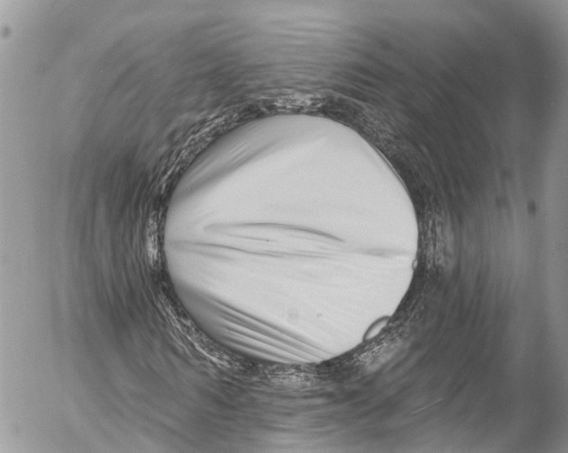 X0000053100962200508081332