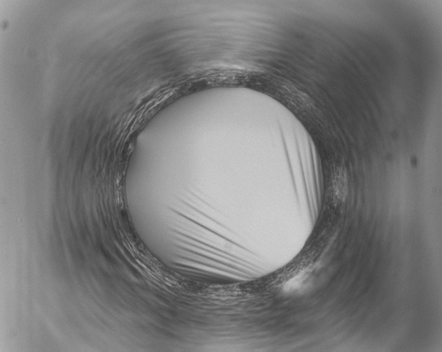 X0000053100964200508081332