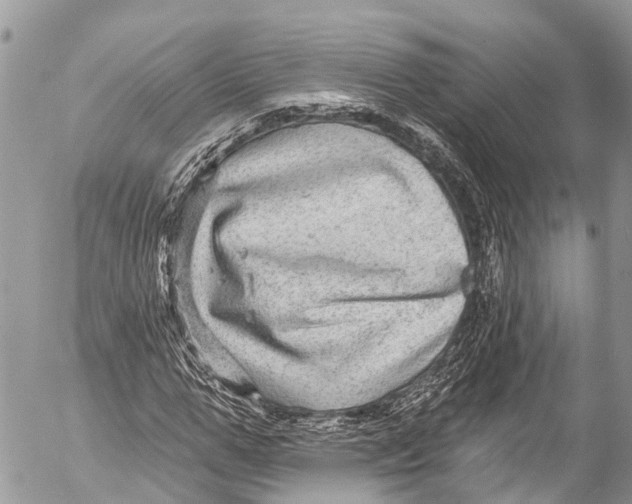 X0000053100967200508081332