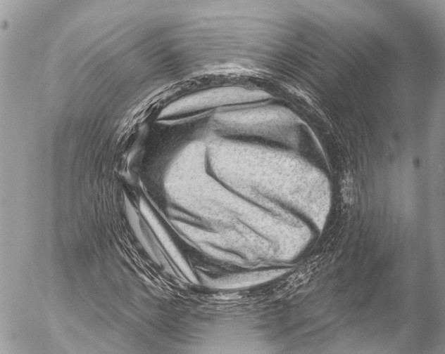 X0000053100968200508081332