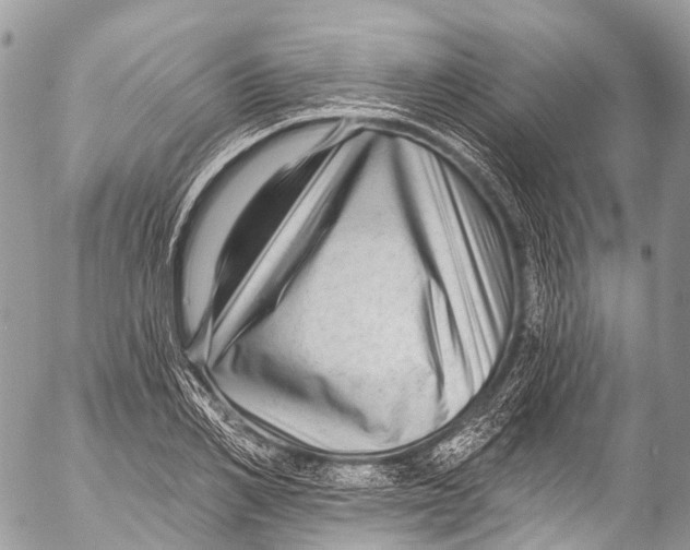 X0000053100982200508081332