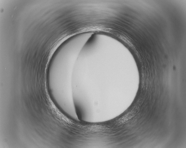 X0000053100984200508081332
