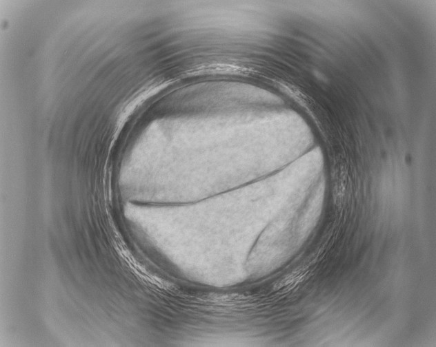 X0000053100987200508081332