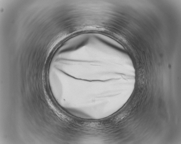 X0000053100991200508081332