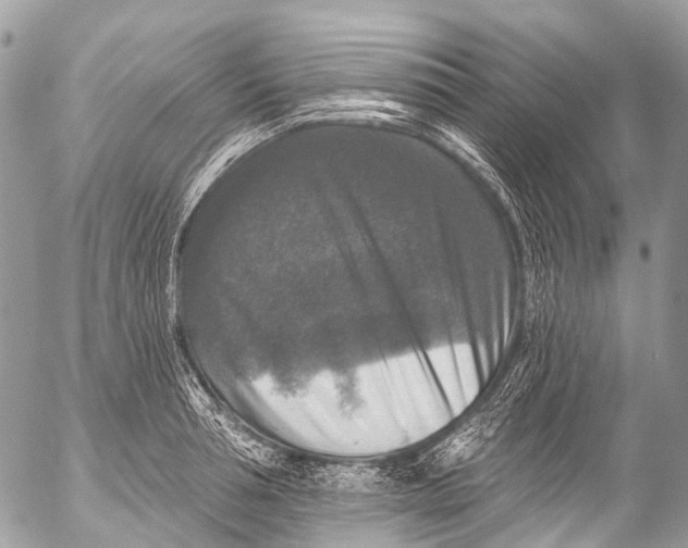 X0000053100994200508081332