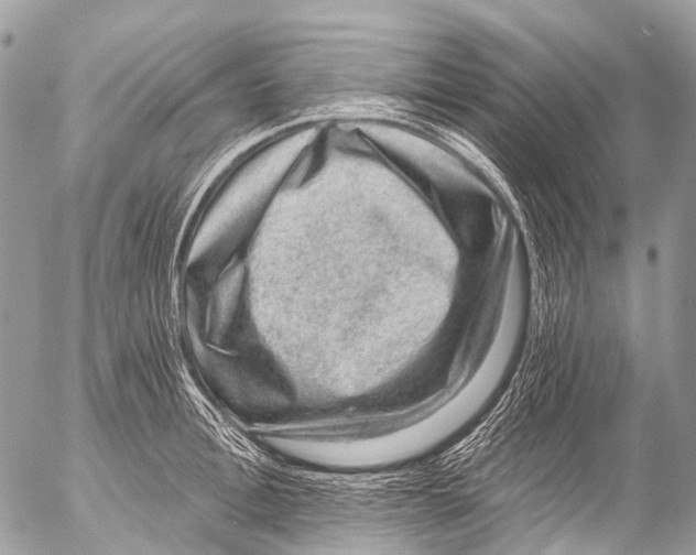 X0000053100996200508081332