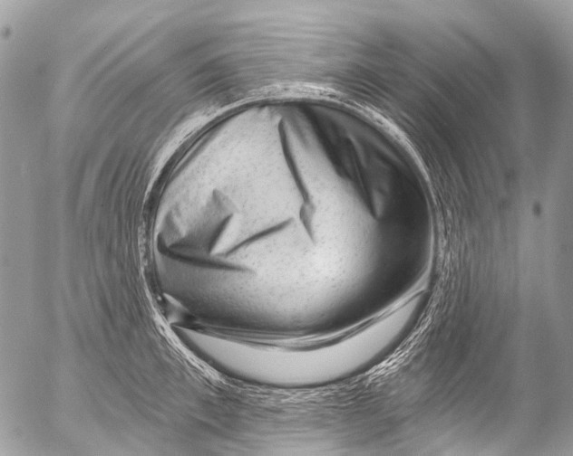 X0000053100997200508081332