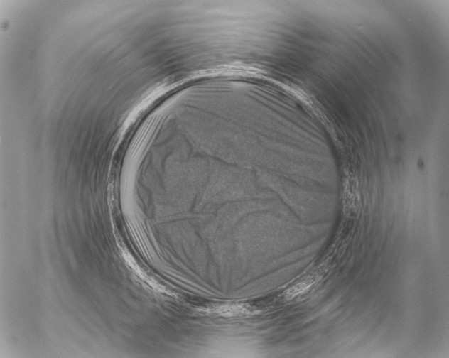 X0000053100998200508081332