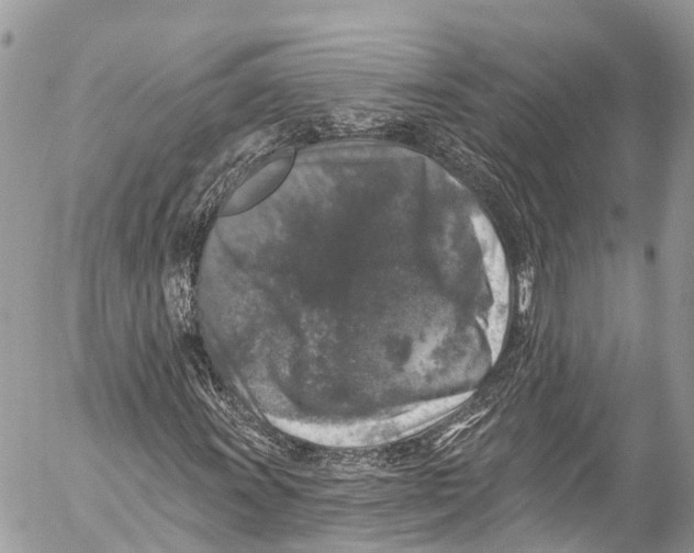 X0000053101011200508081331