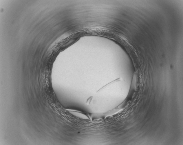 X0000053101016200508081331