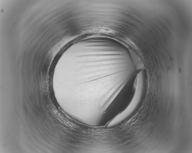 X0000053101020200508081331