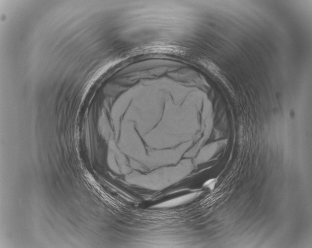 X0000053101024200508081331