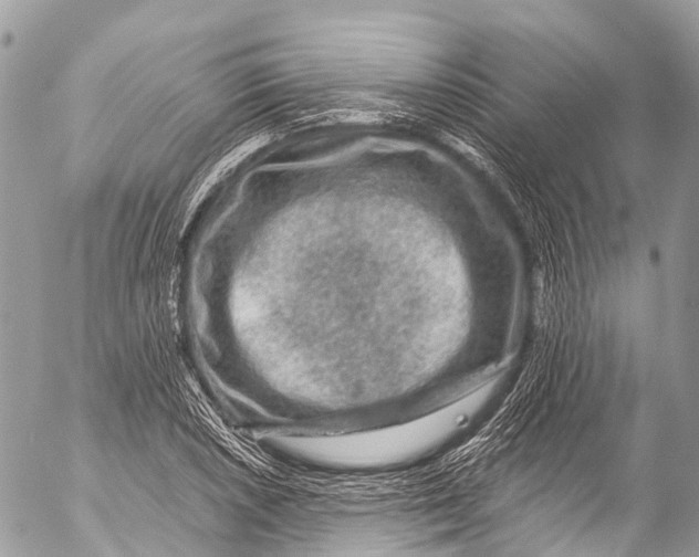 X0000053101026200508081331