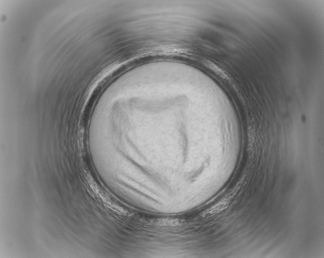 X0000053101029200508081331