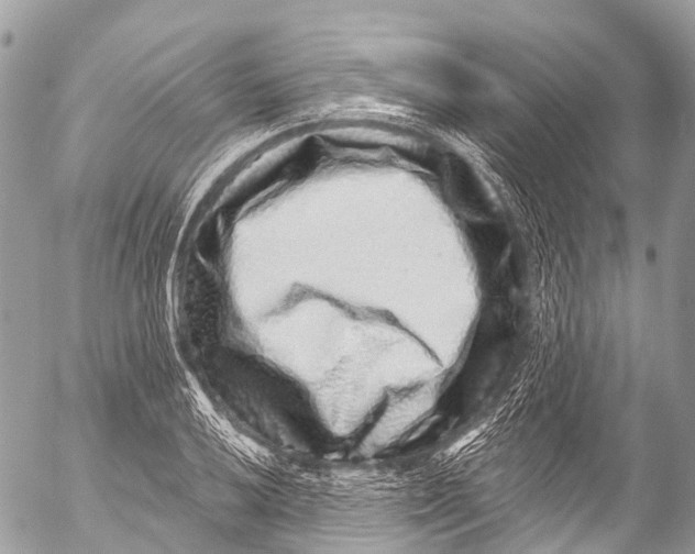 X0000053101032200508081331
