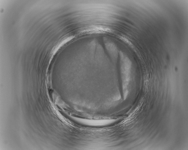 X0000053101034200508081331