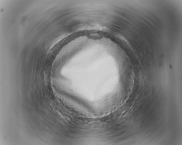 X0000053101064200508081331