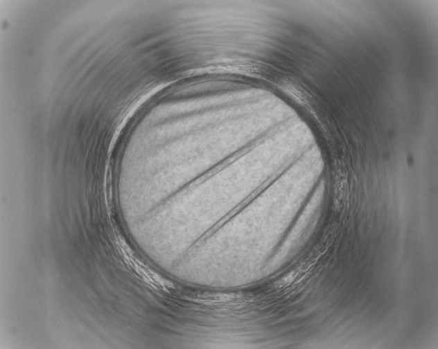 X0000053101076200508081330