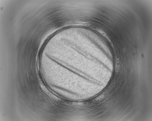X0000053101080200508081330