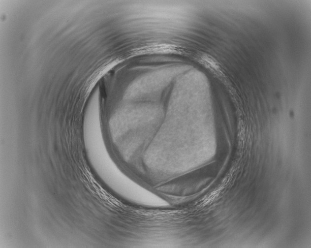 X0000053101081200508081330