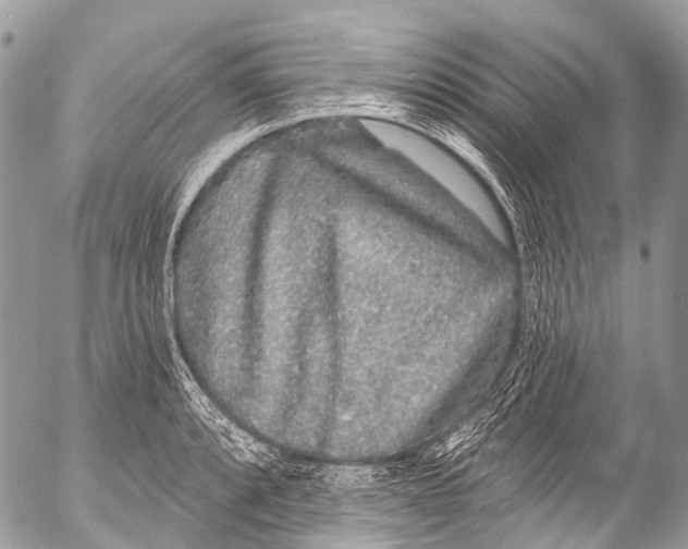 X0000053101088200508081330