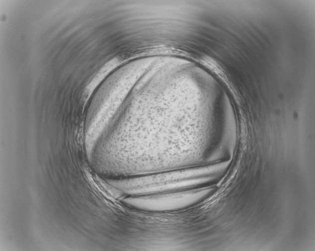X0000053101097200508081330