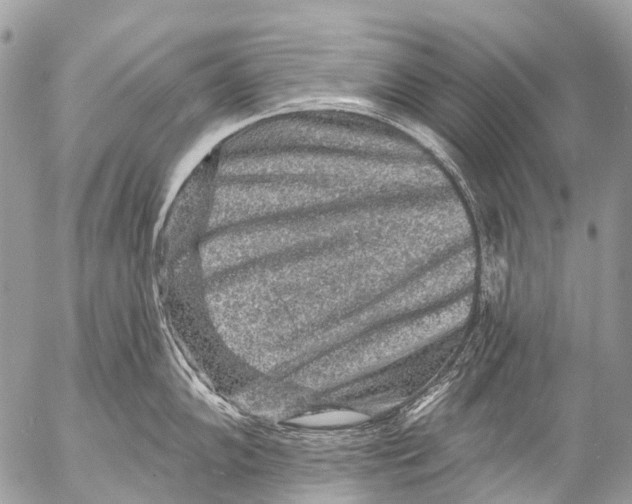 X0000053101102200508081330