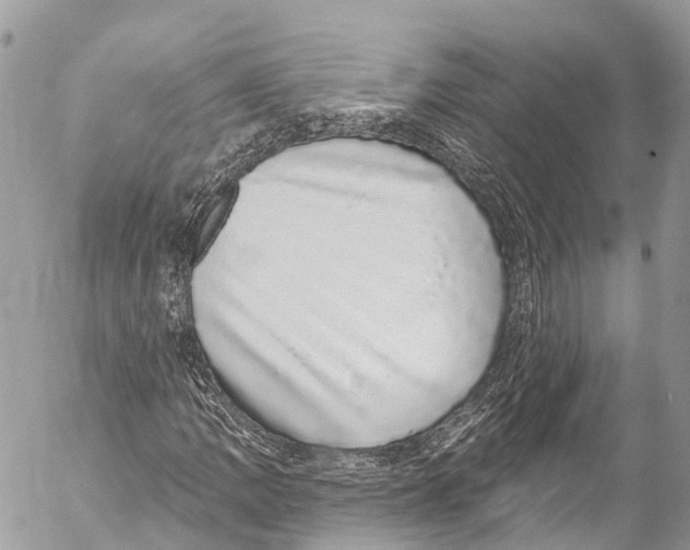X0000053101109200508081329