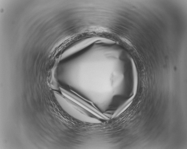 X0000053101112200508081329