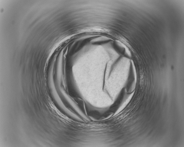 X0000053101116200508081329